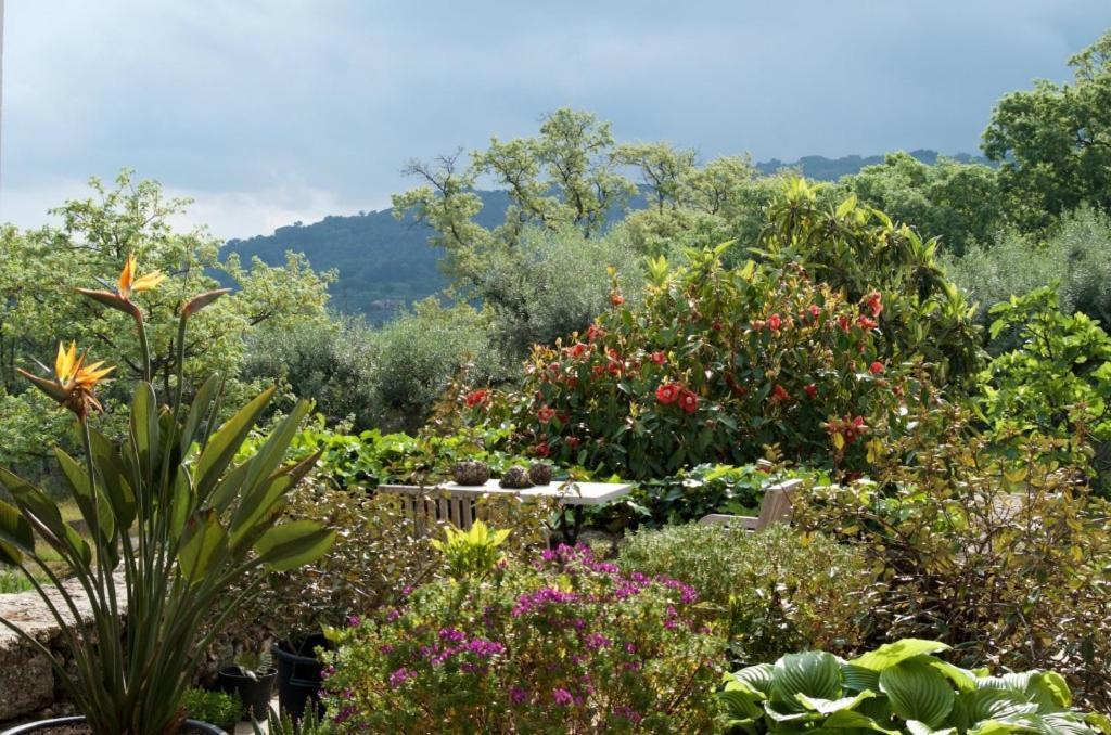 Quinta Da Saimeira Marvão Extérieur photo