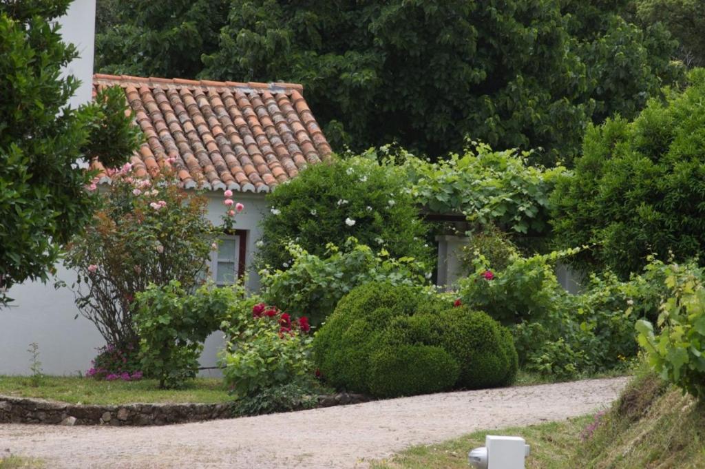 Quinta Da Saimeira Marvão Extérieur photo